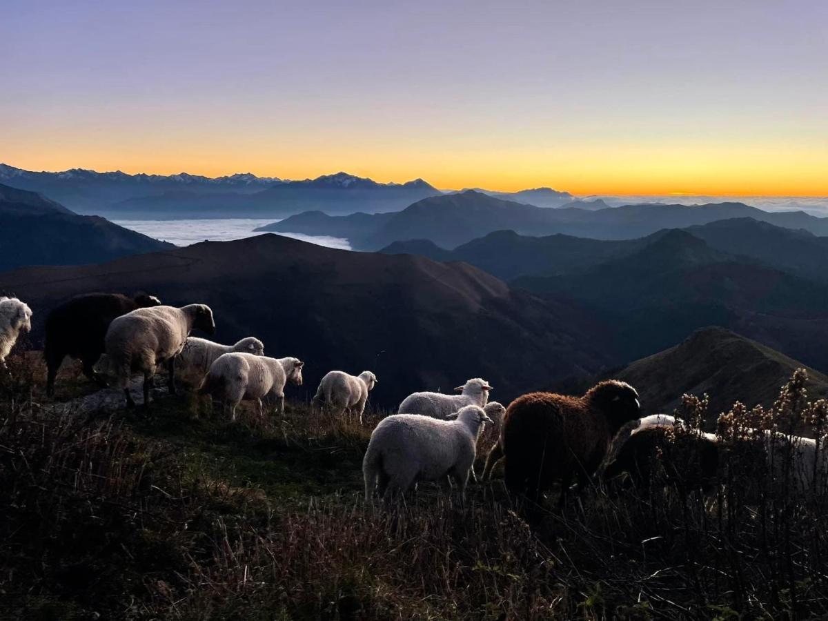 "La Casa Dei Gelsi" - Panorama Lodge Monte Generoso Scudellate Esterno foto