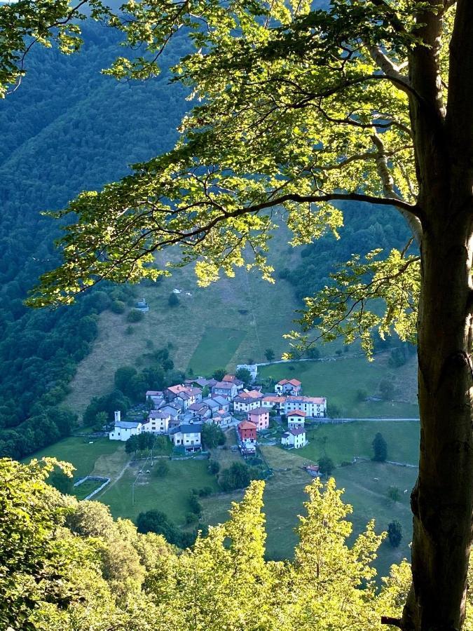 "La Casa Dei Gelsi" - Panorama Lodge Monte Generoso Scudellate Esterno foto