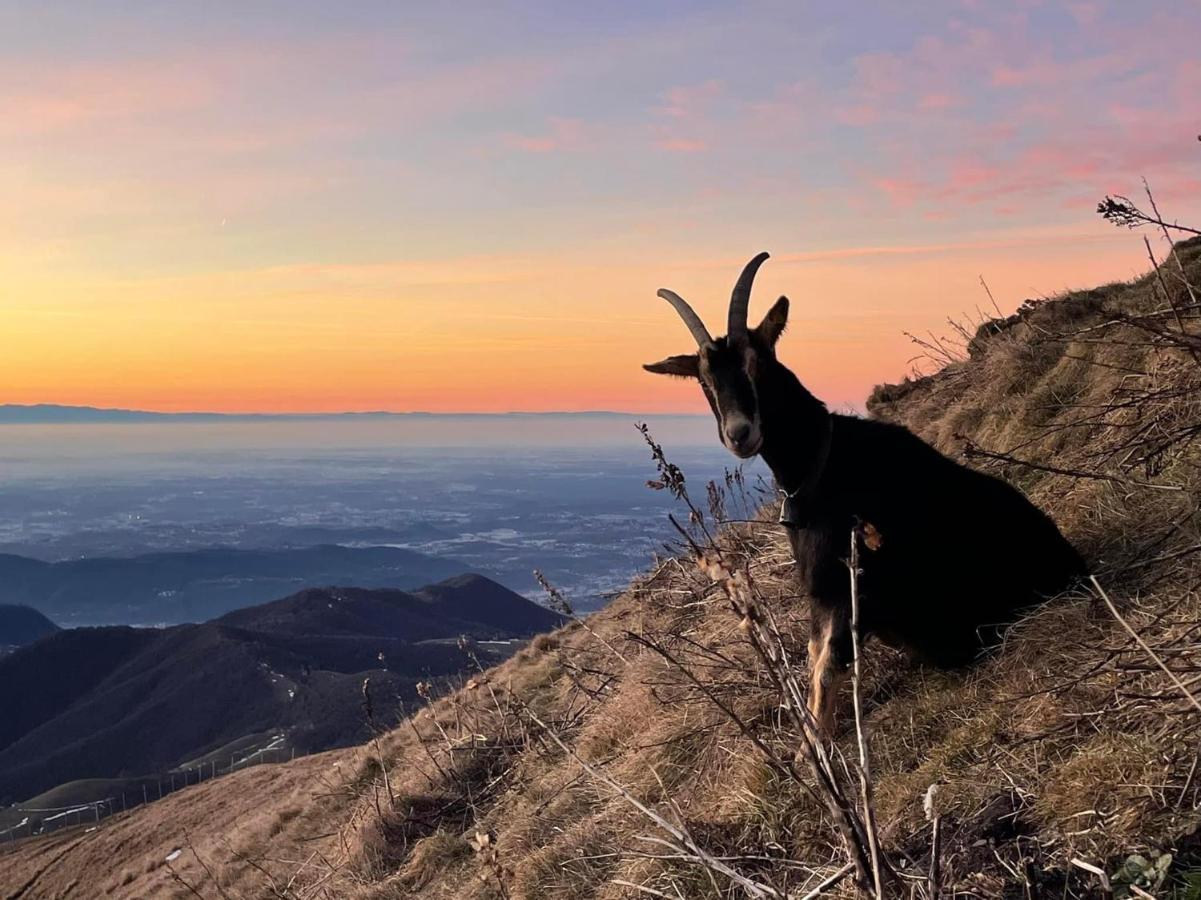 "La Casa Dei Gelsi" - Panorama Lodge Monte Generoso Scudellate Esterno foto