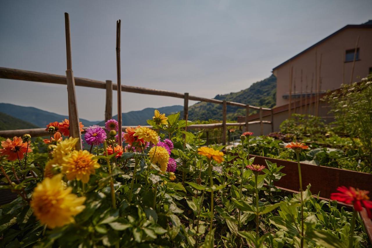 "La Casa Dei Gelsi" - Panorama Lodge Monte Generoso Scudellate Esterno foto